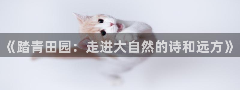 摩根娱乐宝 怎么样