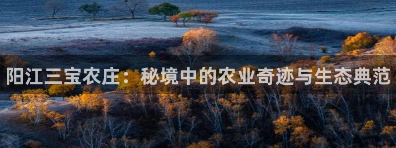 摩根娱乐彩票被骗了