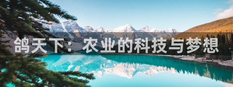 泉州摩根会娱乐有限公司