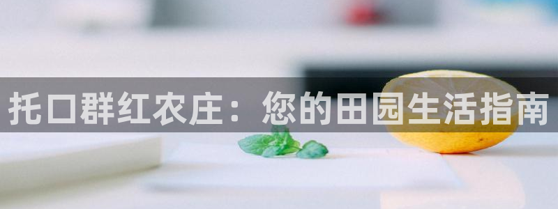 摩根娱乐是什么