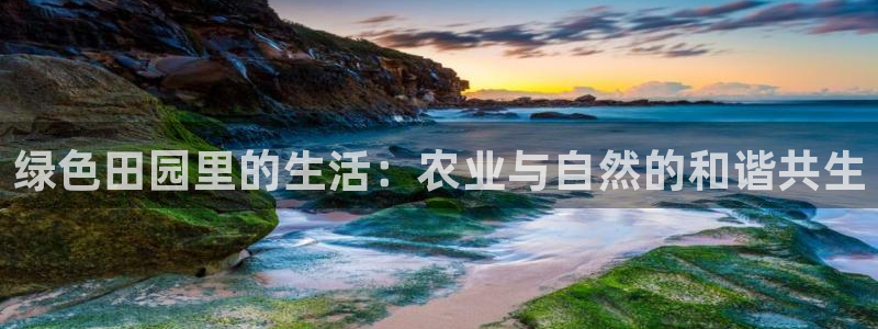 摩根娱乐开户 总s管50015