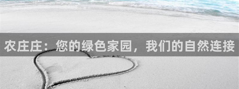 摩根在娱乐圈爆红