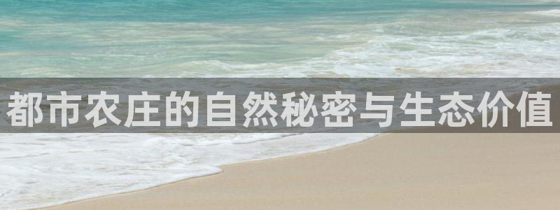 临平摩根国际娱乐会所