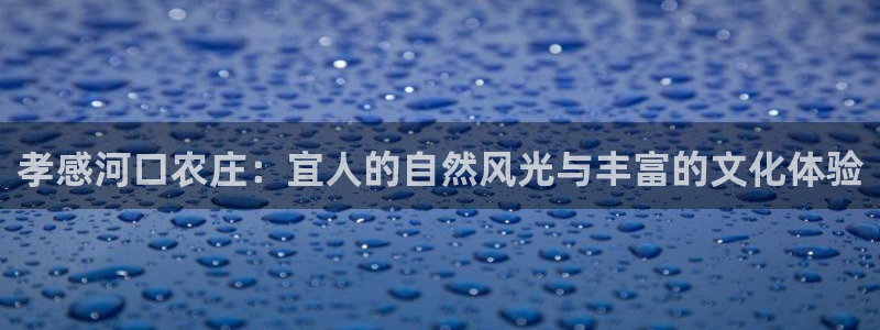 华视娱乐 摩根 王琛