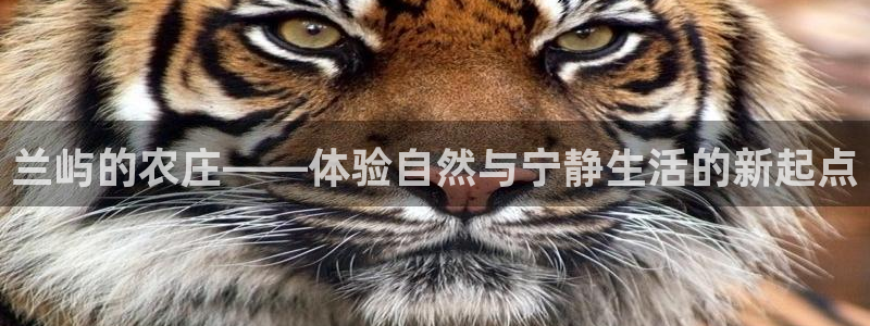 摩根娱乐宝打不开