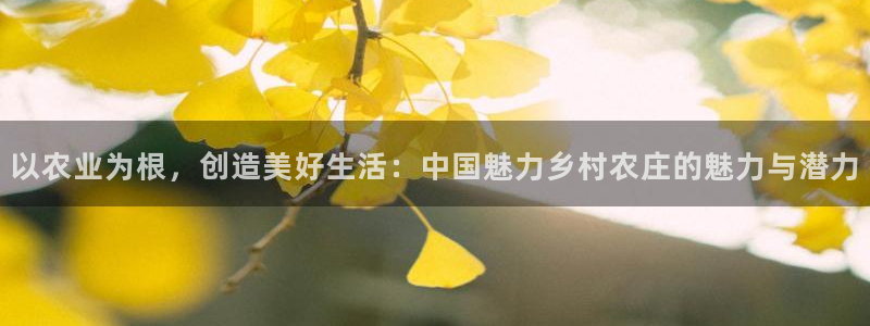 白宫摩根娱乐会所