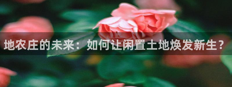 摩根娱乐宝怎样拉下线