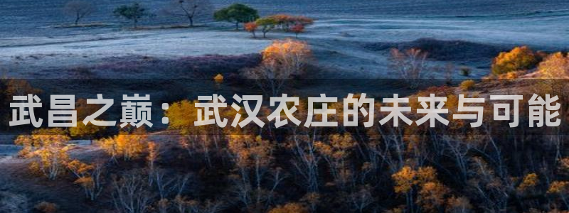 泉州摩根会娱乐保安