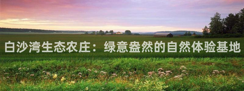 摩根娱乐身生个女孩吧