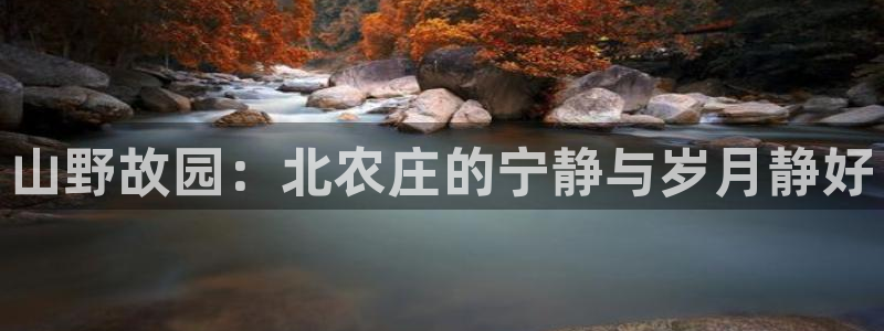 摩根娱乐创始人