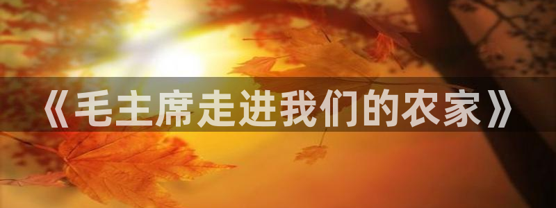 摩根娱乐宝招商