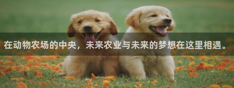 昆明滇池路摩根道娱乐