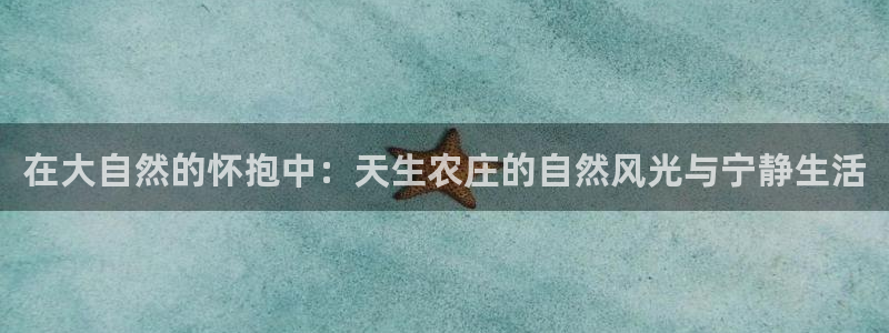 摩根娱乐宝是合法吗