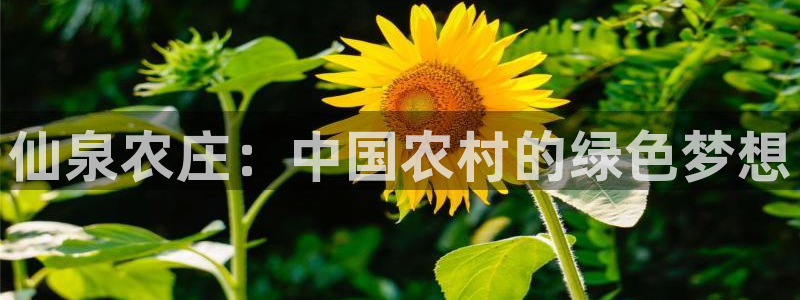 摩根娱乐宝.知道吗