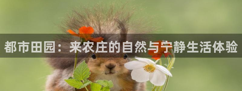 摩根娱乐怎么样