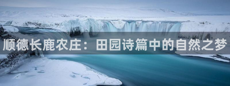 摩根娱乐50186联系