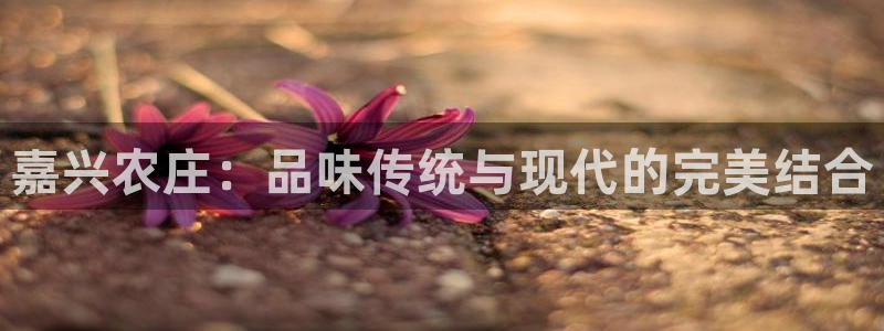 摩根娱乐宝秒单