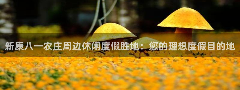 摩根100娱乐会所