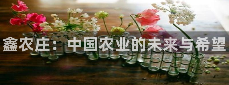 摩根国际娱乐宝在哪里