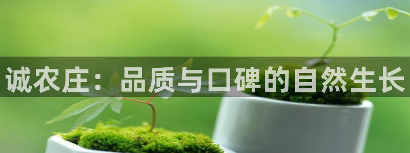 临平摩根娱乐会所地址