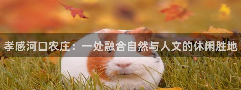 摩根娱乐宝杀单吗