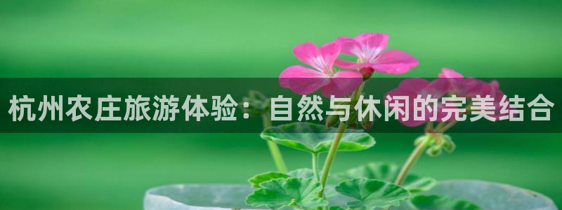 济宁摩根国际娱乐