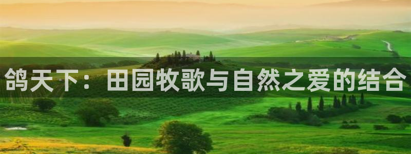 摩根娱乐宝平台