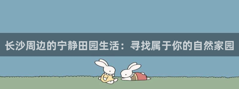 摩根娱乐宝怎么盈利