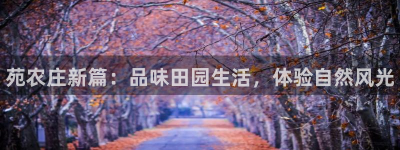 华视娱乐摩根王琛