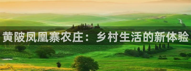 摩根娱乐是骗局吗