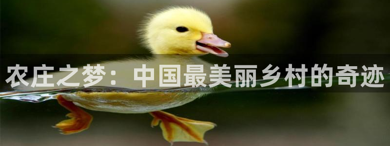 主角是摩根家族的娱乐文
