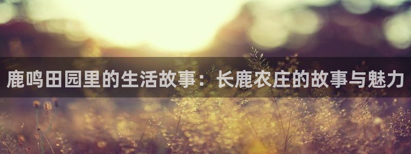 摩根娱乐宝总部招商