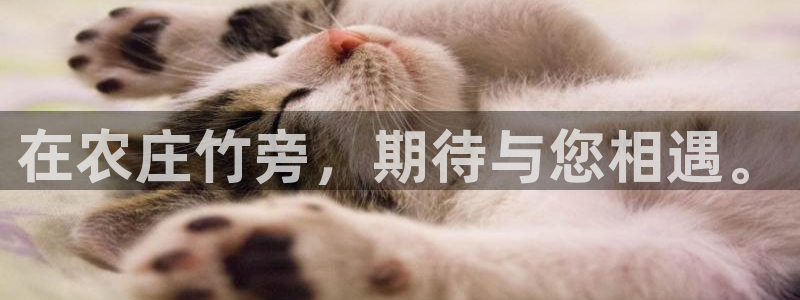 泉州摩根会娱乐场所