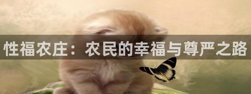 摩根娱乐宝k线图