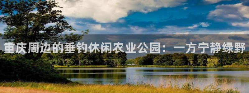 摩根娱乐↑总s管50015