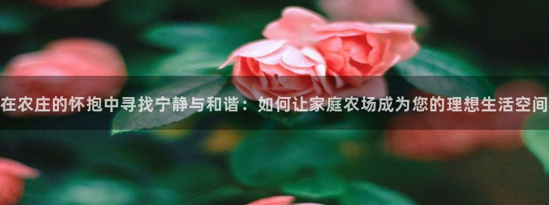 摩根合约娱乐宝