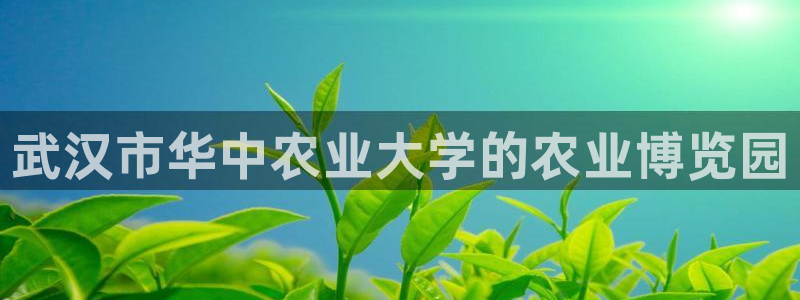 摩根娱乐宝机构代码