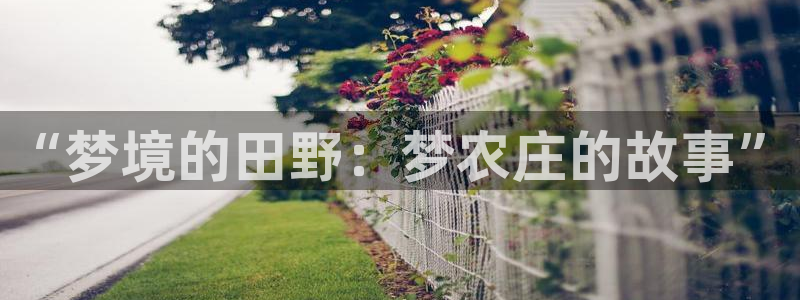 摩根国际娱乐宝进不去