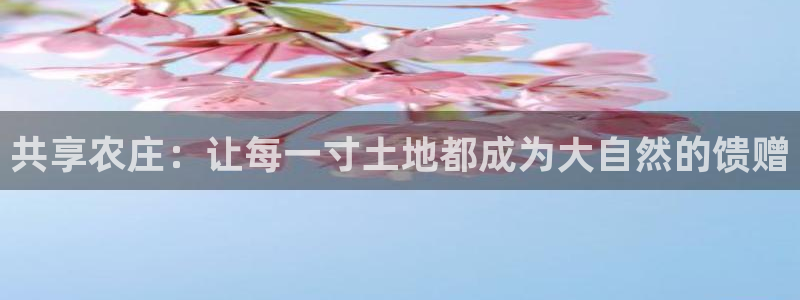 摩根大通投资娱乐公司