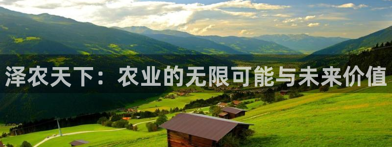 泉州摩根会娱乐场所